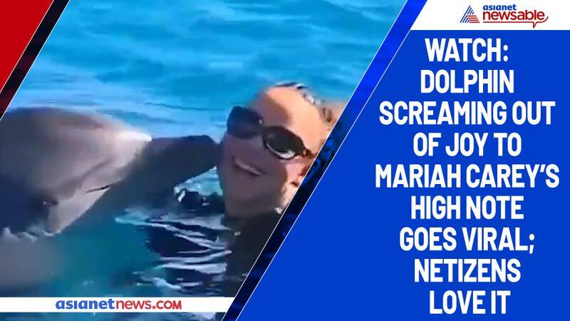 Watch Dolphin screaming out of joy to Mariah Carey's high note goes viral; netizens love it-tgy