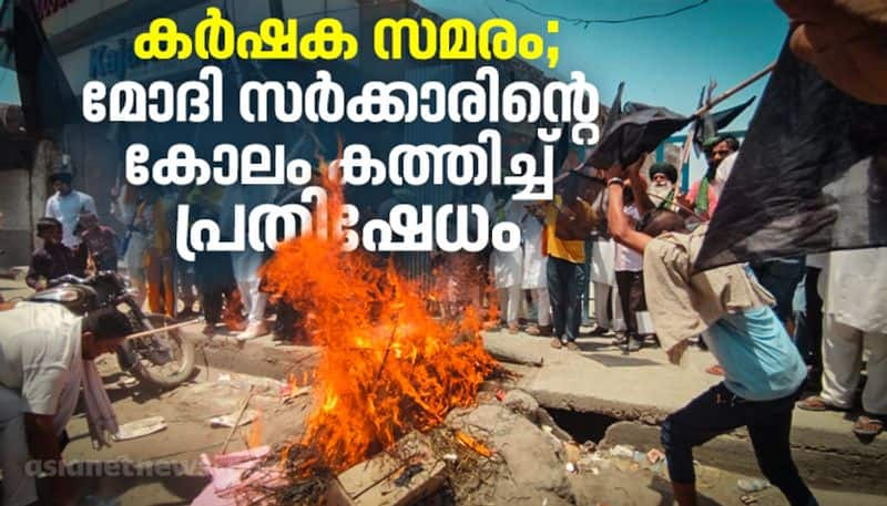 farmers protesters burning Modi governmens coffin