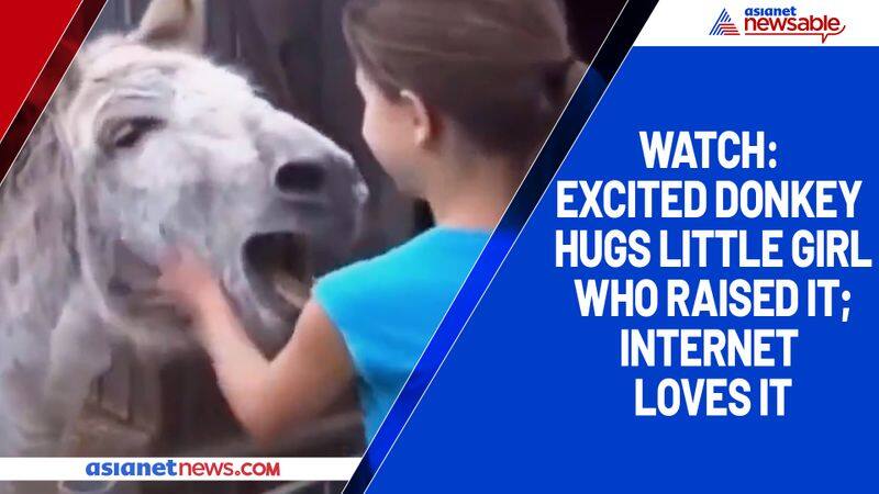 Watch Excited donkey hugs little girl who raised it; internet loves it-tgy