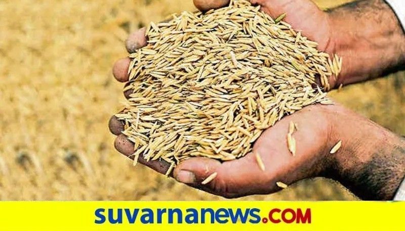 Farmers Faces Problems for No Demand to Paddy in Koppal grg