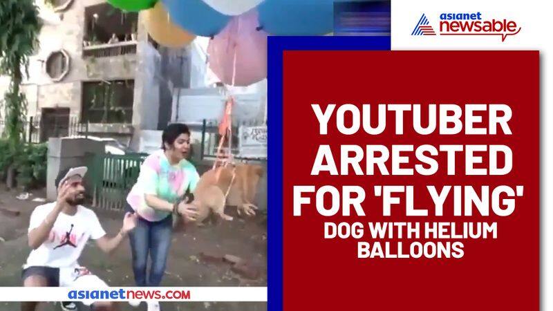 YouTuber arrested for flying pet dog using helium balloons in Delhi - gps