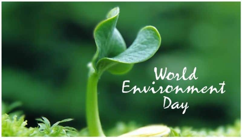 competitions for students in environment day