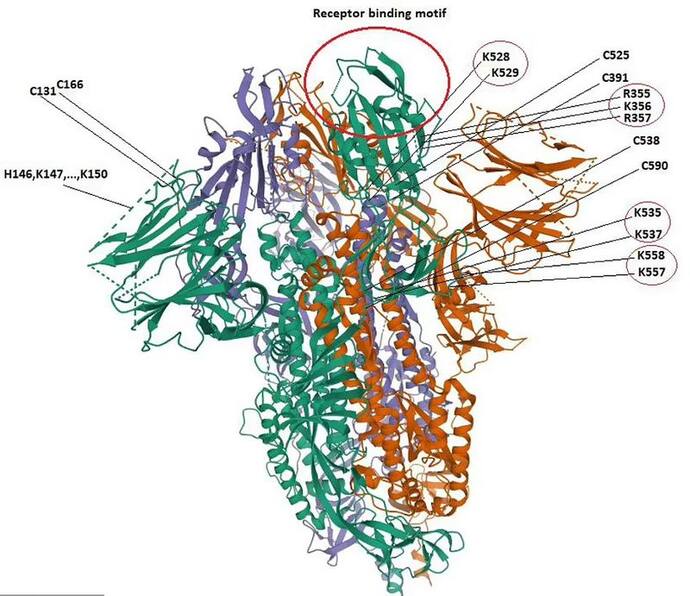 Research:वुहान लैब में ही बना है कोरोना वायरस, अमेरिका ने भी की फंडिंग, चीन ने रिवर्स इंजीनियरिंग से दिया धोखा