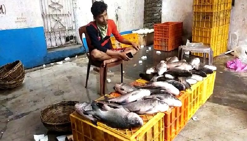 Fishing ban period :  Fish prices rise sharply! 50 percent fall in fish arrival!