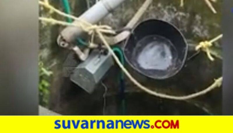 Udupi  Cobra fell in well saved in by snake protector hls