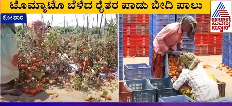 No price for tomato, crops thrown on roads in Kolar rbj