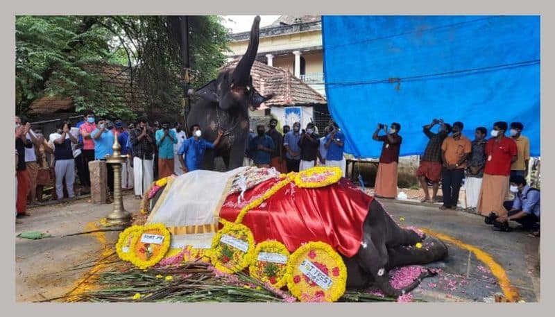 padmanabha swamy temple elephant Mathilakam Darshini dead