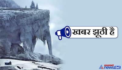 दुनिया का वो पहाड़ जो हाथी के आकार का दिखता है..जानें वायरल तस्वीर के साथ इस दावे का सच