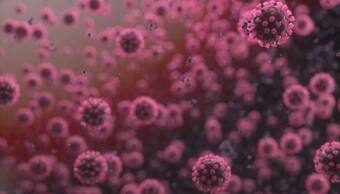 Coronavirus: India sees decline in active cases as tally dips to 4.5 lakh, recovery rate improves to 97.17%