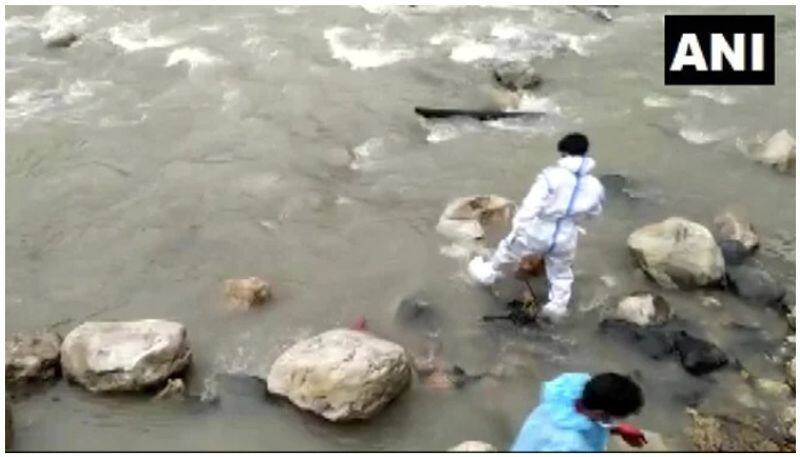 dogs feed on bodies at Uttarakhand riverbank