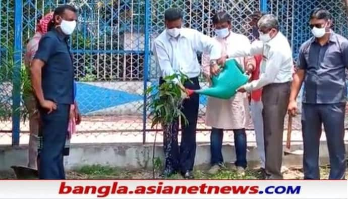 'পরিবেশ নিয়ে ছেলে খেলা করো না', পরিবেশ দিবসে নিজের হাতে বৃক্ষরোপণ করলেন ফিরহাদ