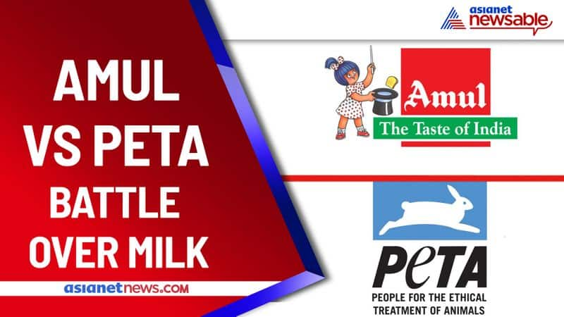 Explained Behind The Amul Vs PETA Battle Over Milk