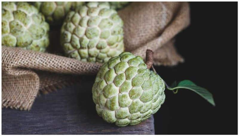 Custard Apple During Pregnancy