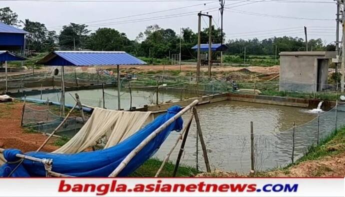 শুধু মানুষ নয়, অক্সিজেনের আকালে মাছের ডিমপোনা উৎপাদনের আতুরঘরও সঙ্কটে