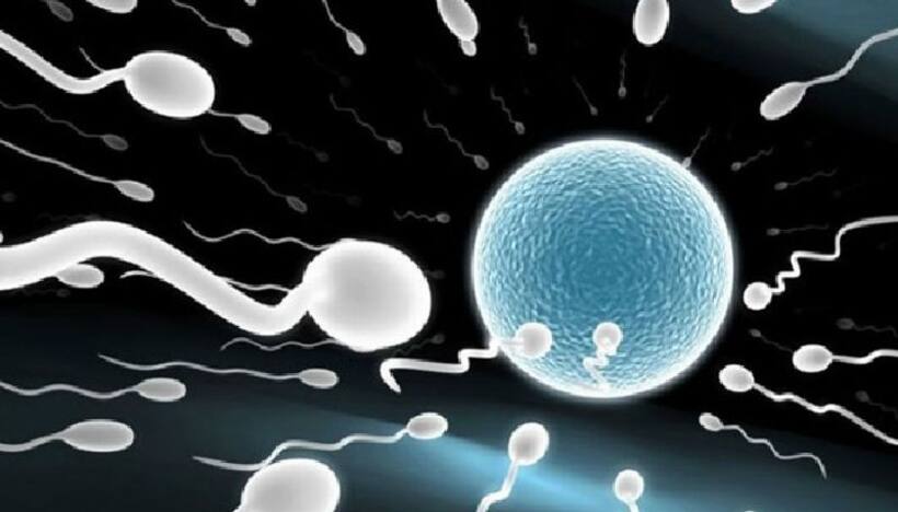 Minor Girls: మైనర్ బాలిక అండాలను అమ్ముతున్న గ్యాంగ్.. యూపీలో నలుగురి అరెస్టు