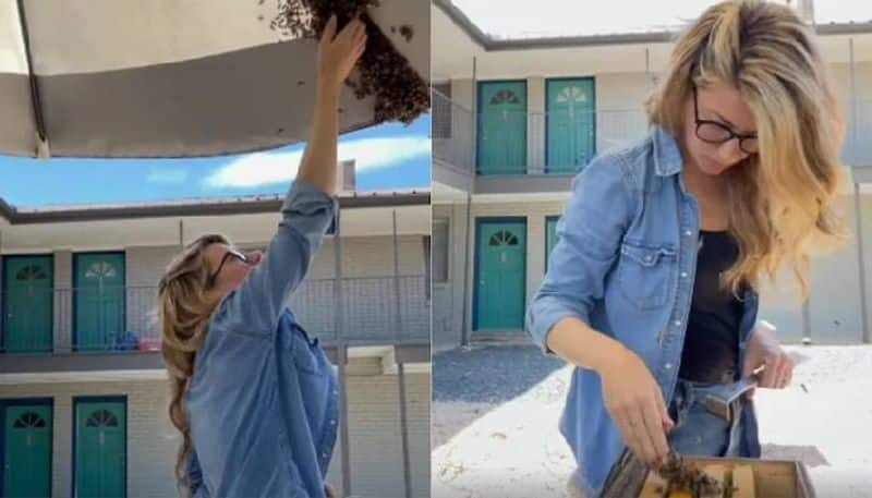 Woman removes bee colony with bare hands in viral video