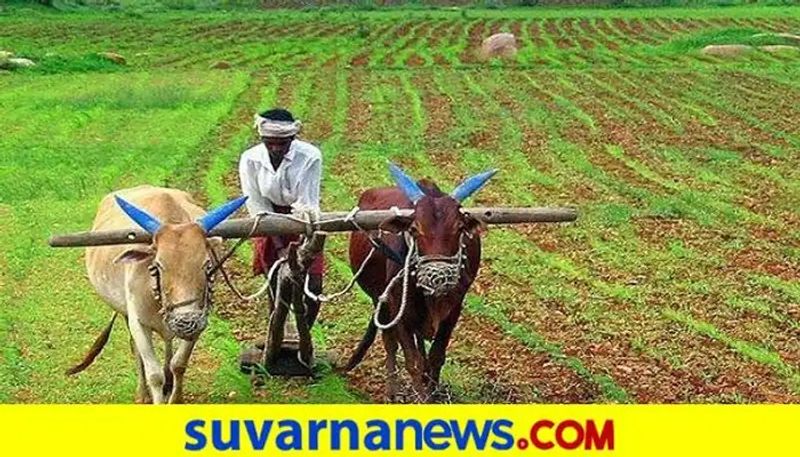 Sowing Completed in 3.06 Lakh Hectares in Karnataka grg