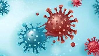 Coronavirus: Active cases lowest in 266 days; vaccine coverage goes past the 110-crore mark