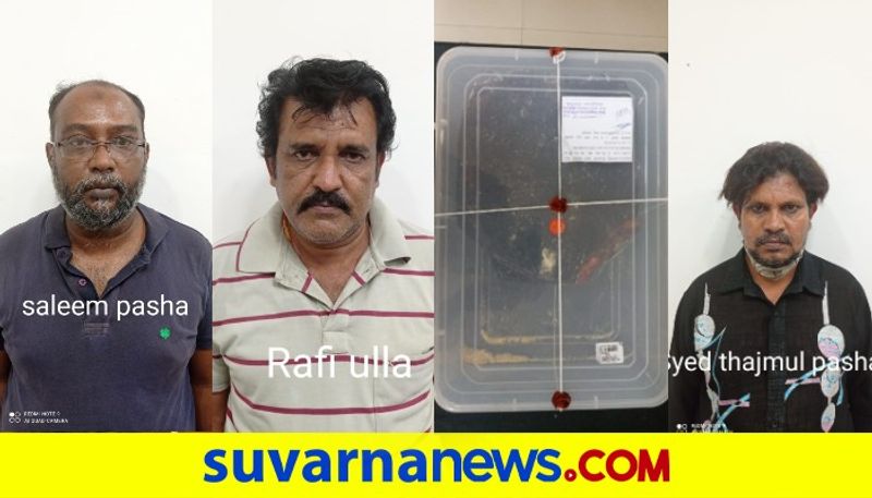 Bengaluru Cops Arrest 4 For Smuggling Sperm Whale Ambergris mah