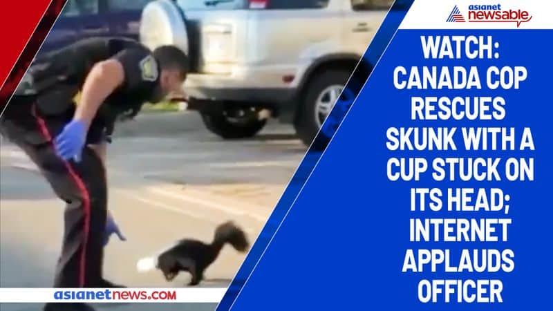 Watch Canada cop rescues skunk with a cup stuck on its head; internet applauds officer-tgy