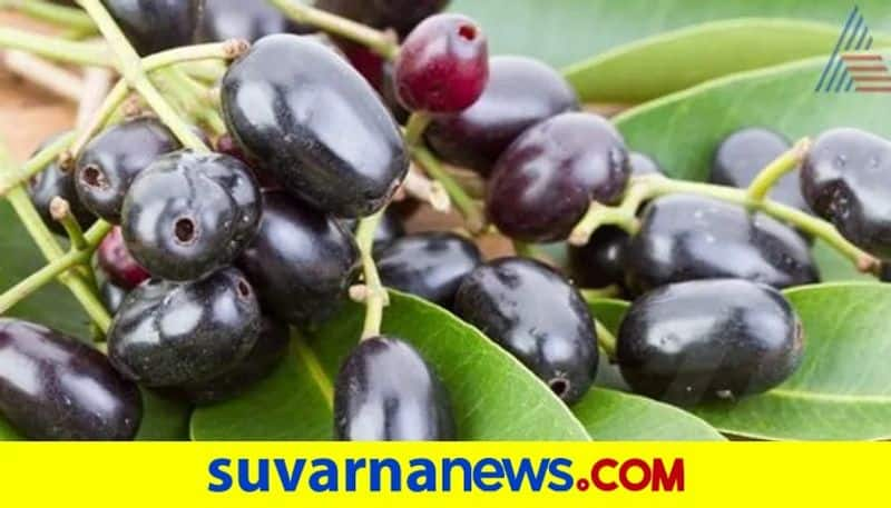 Benefits of jamun seeds which is best home remedy for diabetic