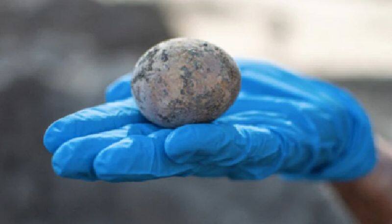 archaeologists found 1000 year old chicken egg in excavation