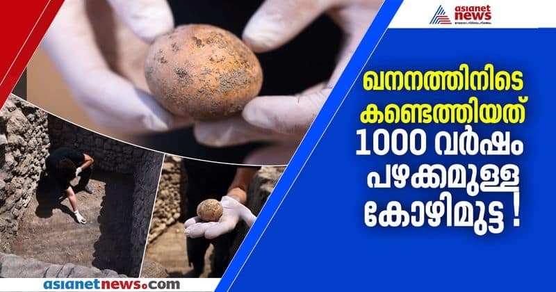 israel archeologists found 1000 years old egg