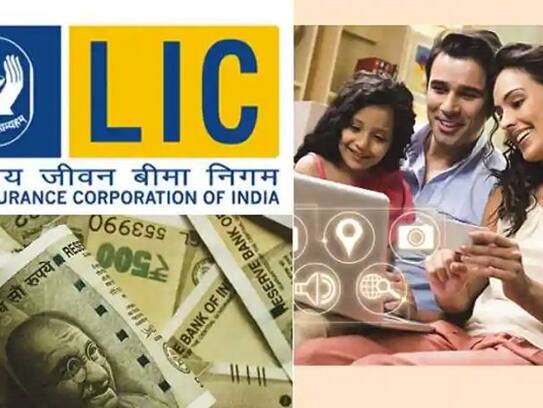 LIC Q2 results: LIC's net profit declines by 50 per cent, Shareholders' concern RMA