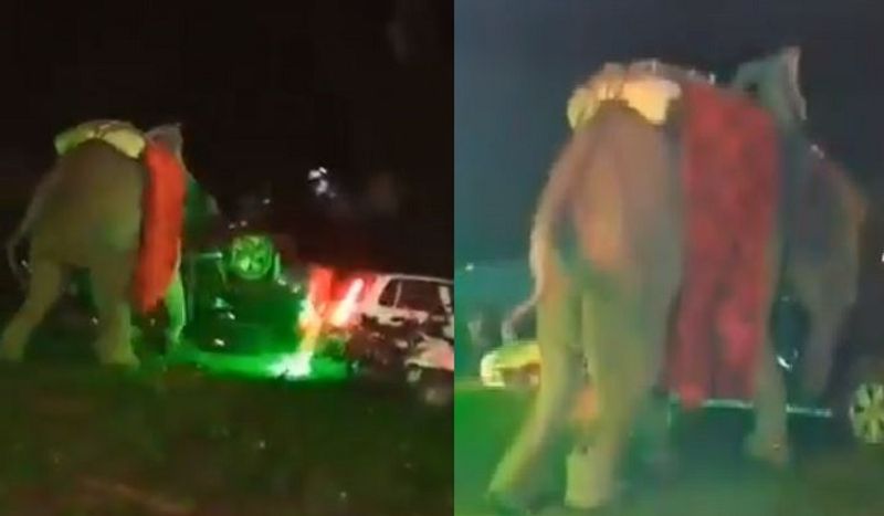 Elephant damaged venue and four cars at a wedding ceremony in Uttar Pradesh ckm