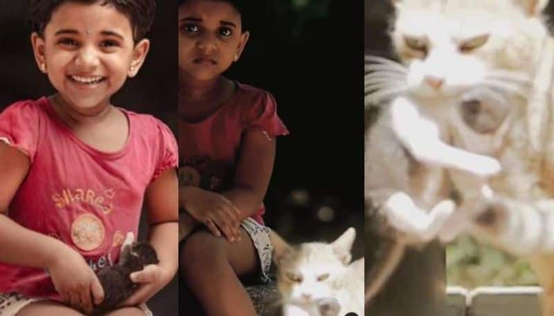 kunjappoo baby and cat viral photoshoot video