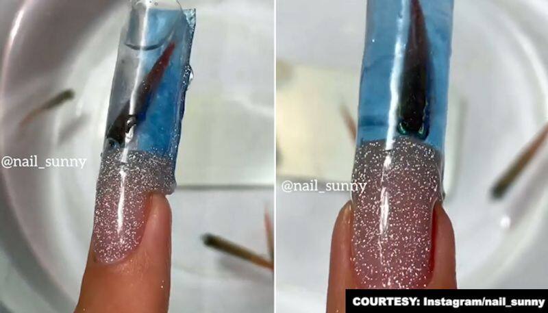 Nail artist's new aquarium manicure sparks outrage on internet; watch viral video-tgy