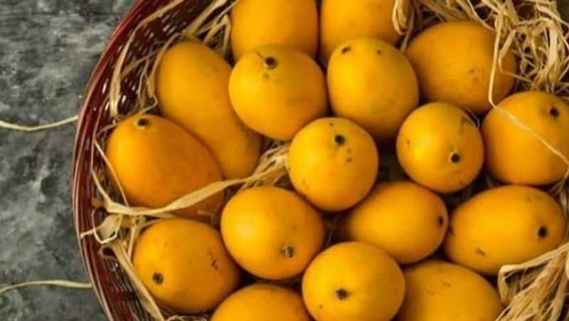 Tips to find chemically-induced mangoes rsl