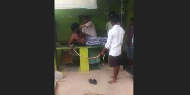 Man in Karnataka's Ballari walks into hospital with cobra that bit him