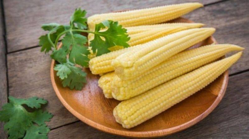 From weight loss to healthy vision: Amazing benefits of baby corn you must know-dnm