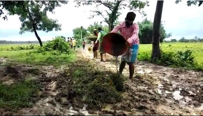 জামাইষষ্ঠীর উপহার, গ্রামের রাস্তা তৈরি করে দিলেন খোদ জামাইরা