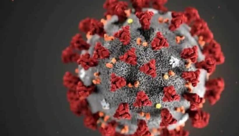 Delta variant of coronavirus to become dominant strain in coming months, warns WHO