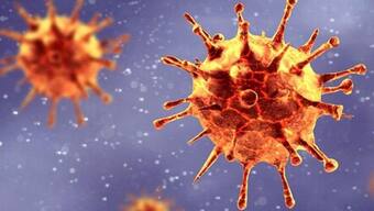 Coronavirus: India reports lowest daily COVID cases in 88 days with 53,256 new infections