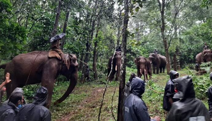 ঘুরে বেড়াচ্ছে ক্ষিপ্ত হাতির পাল, বন্ধ করা হল অযোধ্যা পাহাড় যাওয়ার রাস্তা