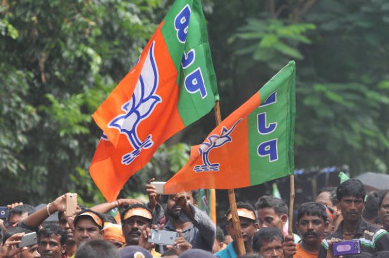 bjp flag bjp flag