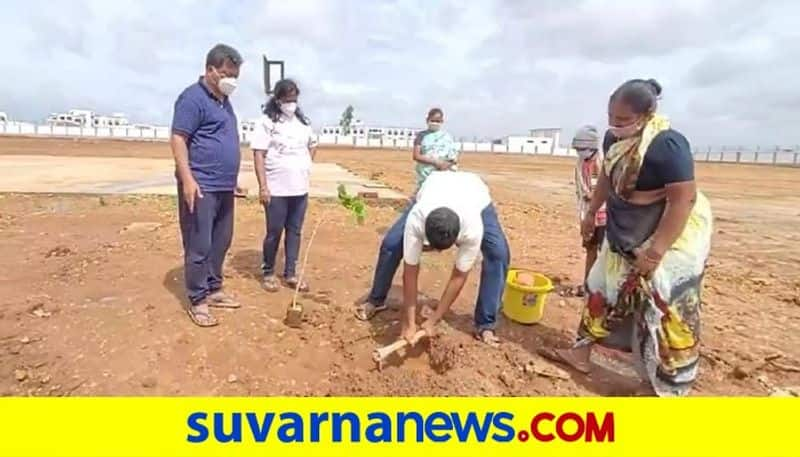 Honnali MLA Renukacharya plant saplings by covid patients mah