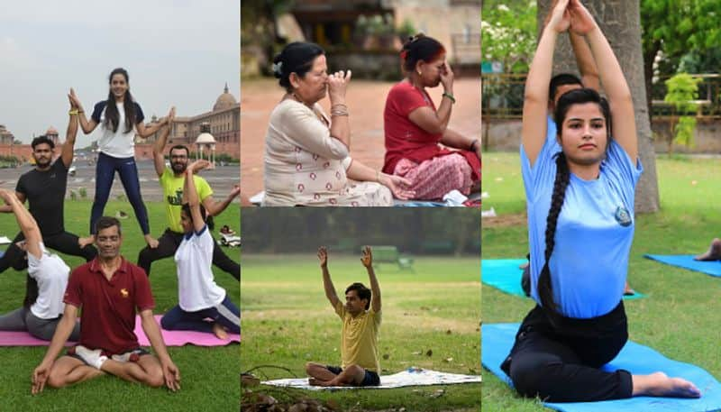 yoga for cure international yoga day celebrated june 21