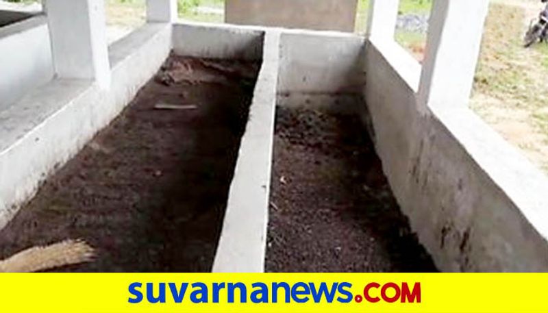 800 kg cow dung worth Rs 1600 stolen Chhattisgarh case registered mah