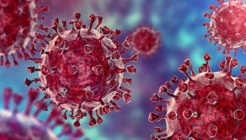 Scientists says premature to declare third COVID wave, rise in daily cases, R number worrying