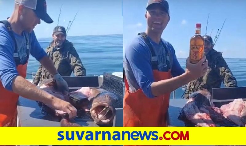 Unopened bottle of whisky inside Fish stomach fisherman surprise video goes viral ckm