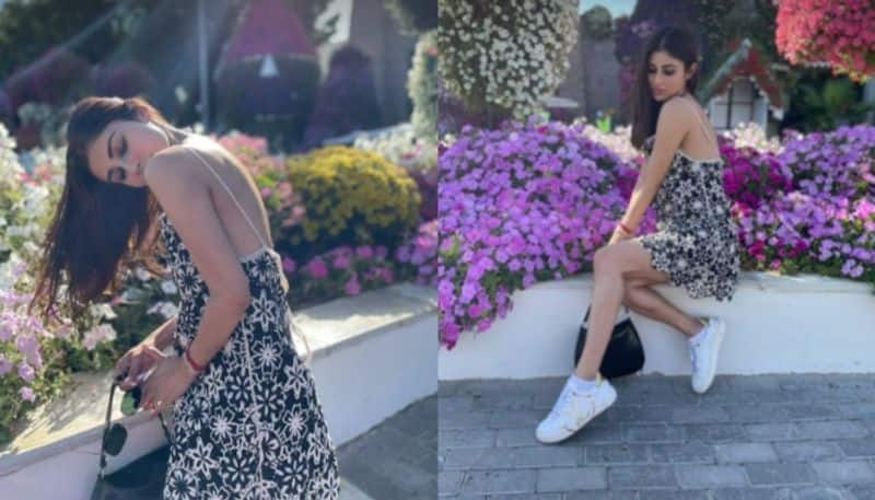 Mouni Roy share her photo