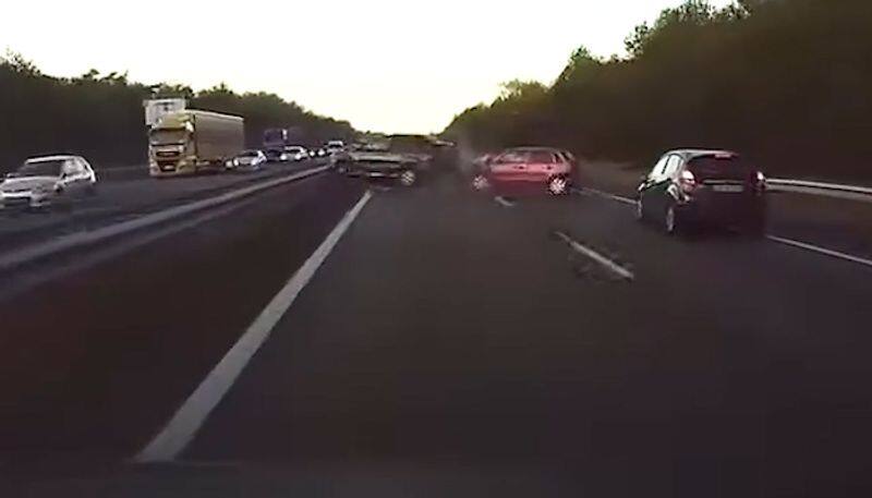 Tesla car anticipates crash before collision, impresses netizens; watch video-tgy