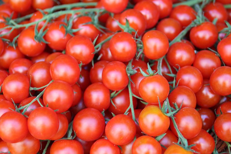 huge increase in tomato prices