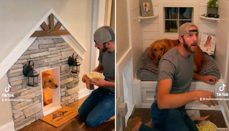 Human and dog watch movie inside dog's house; watch adorable video-tgy