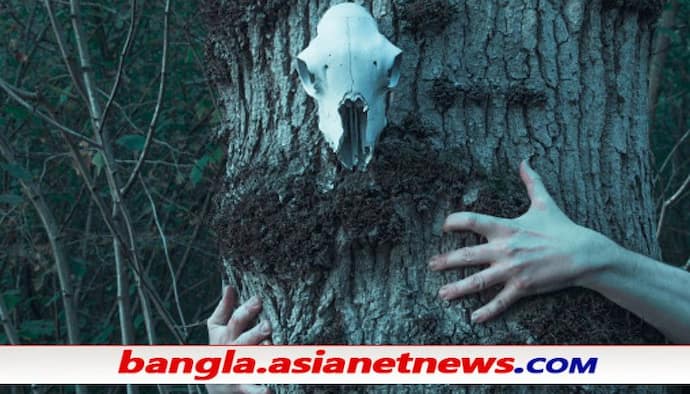 জানুয়ারি থেকে বারবার 'স্বপ্নে ধর্ষণ' করছে তান্ত্রিক, থানায় অভিযোগ জানালেন 'ধর্ষিতা'