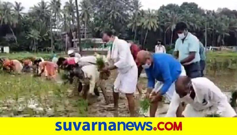 Drive to the Land Farming Planting in Udupi grg